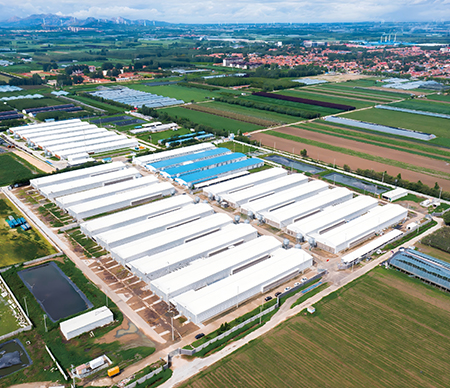 Pingdu Gebeitou Intelligent Farming Demonstration Zone