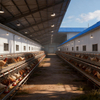 Prefabricated Steel Structure Chicken House