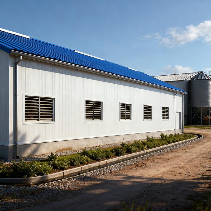 Prefabricated Steel Structure Chicken House